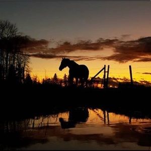 Meet your Posher, Katy